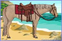 Horse Color:Palomino Roan 