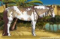 Horse Color:White Spotted Chocolate Buckskin Sabino 