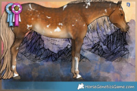 Horse Color:White Spotted Chocolate Palomino