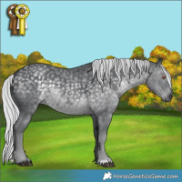 Horse Color:Silver Black Chinchilla 