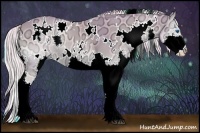 Horse Color:Watercolor White Spotted Palomino Ice Onyx Splash 