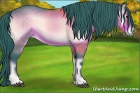 Horse Color:Watercolor Bay Onyx 