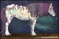 Horse Color:Watercolor Red Onyx Appaloosa