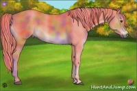Horse Color:Nacre Watercolor Chestnut 