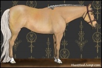 Horse Color:Silver Buckskin 