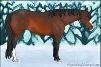Horse Color:Brown 