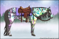 Horse Color:Smoky Black Appaloosa Rabicano