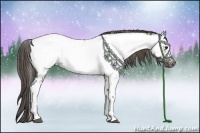 Horse Color:White Spotted Smoky Grullo Ice Appaloosa Rabicano