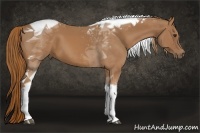 Horse Color:Chestnut Tobiano