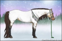 Horse Color:Brown Dun Sabino Appaloosa 