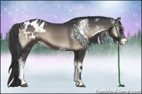 Horse Color:White Spotted Blue Onyx Varnish