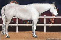 Horse Color:Gray Chestnut 