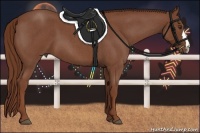 Horse Color:Red Roan 