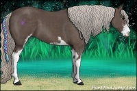 Horse Color:Silver Black Sabino 