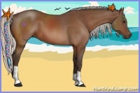 Horse Color:Silver Bay 