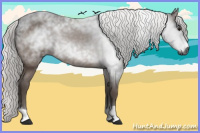 Horse Color:Gray Silver Brown 