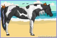 Horse Color:Smoky Black Tobiano 