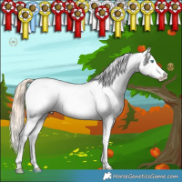 Horse Color:White Spotted Classic Cream Champagne Pearl Dun Tobiano Appaloosa 