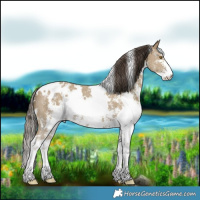 Horse Color:White Spotted Classic Cream Champagne Sabino
