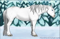 Horse Color:Black Sabino Splash