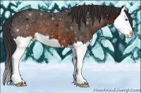 Horse Color:Brown Ice Splash 