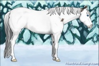 Horse Color:Bay Ice Dun Splash Tobiano