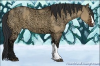 Horse Color:Bay Ice Dun 