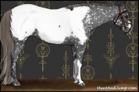 Horse Color:Smoky Black Near Fewspot 