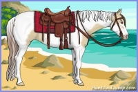Horse Color:Classic Champagne Dun Splash Tobiano Frame Varnish Rabicano 