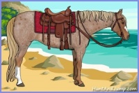 Horse Color:Red Roan 