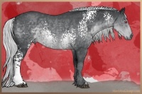 Horse Color:White Spotted Silver Blue Chinchilla Roan