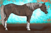 Horse Color:Black  and Silver Black 