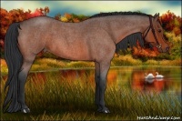 Horse Color:Bay Roan 
