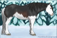 Horse Color:Brown Splash 