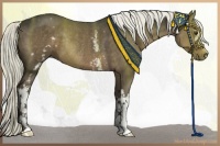 Horse Color:White Spotted Liver Chestnut Rabicano 