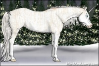 Horse Color:Cremello Sabino  and Palomino Pearl Sabino 