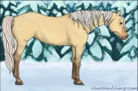 Horse Color:Silver Bay Dun