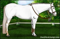 Horse Color:Palomino Roan Near Fewspot 