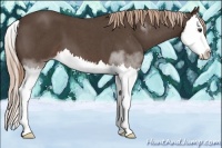 Horse Color:Liver Red Roan Splash