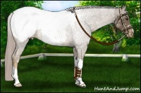 Horse Color:Chocolate Palomino Snowcap 