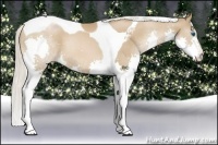 Horse Color:Silver Brown Pearl Splash Tobiano 
