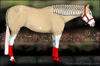 Horse Color:Silver Classic Champagne Dun Splash Frame 