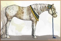 Horse Color:White Spotted Chestnut Mushroom Blanket 