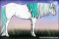 Horse Color:Watercolor Brown Onyx Sabino Appaloosa