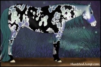 Horse Color:Watercolor White Spotted Brown Onyx Appaloosa 