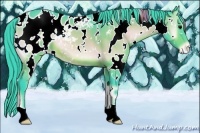 Horse Color:Watercolor White Spotted Buckskin Roan Onyx Appaloosa 