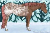 Horse Color:Painted Chestnut Ice