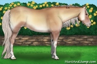 Horse Color:Silver Classic Champagne Onyx