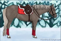Horse Color:Silver Black 