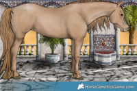 Horse Color:Black Pearl 